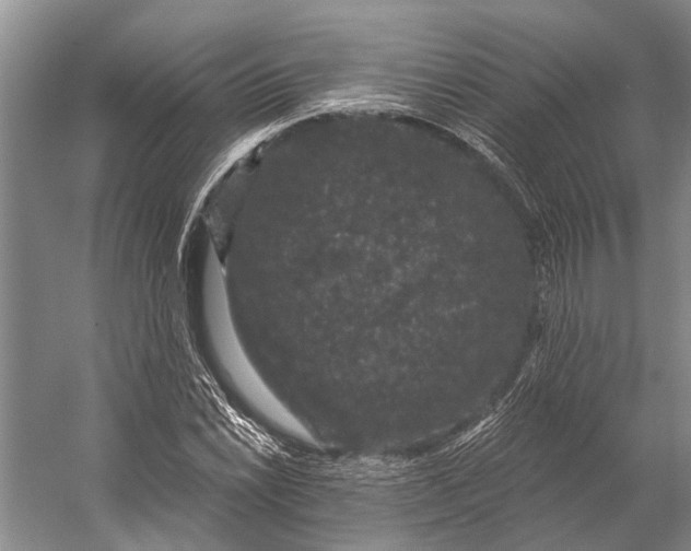 X0000056351022200509161756