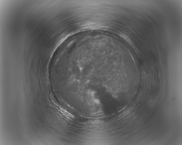 X0000056351023200509161756