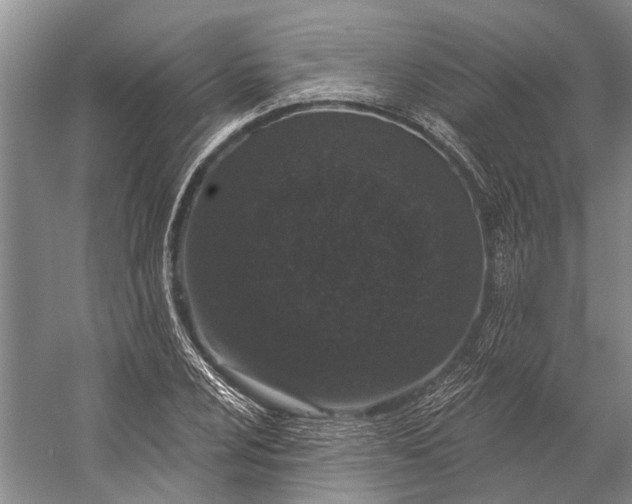 X0000056351024200509161756