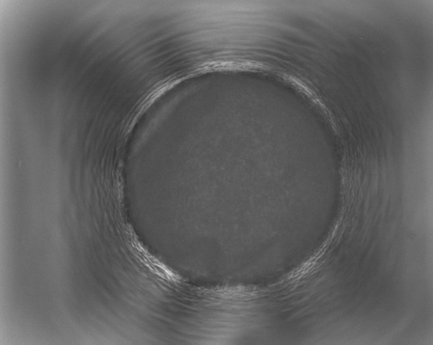 X0000056351025200509161756