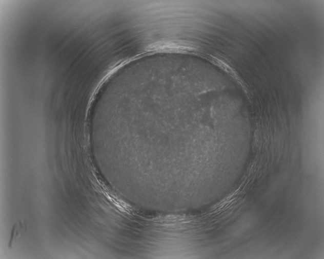 X0000056351027200509161756