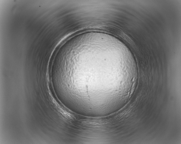 X0000056351028200509161756