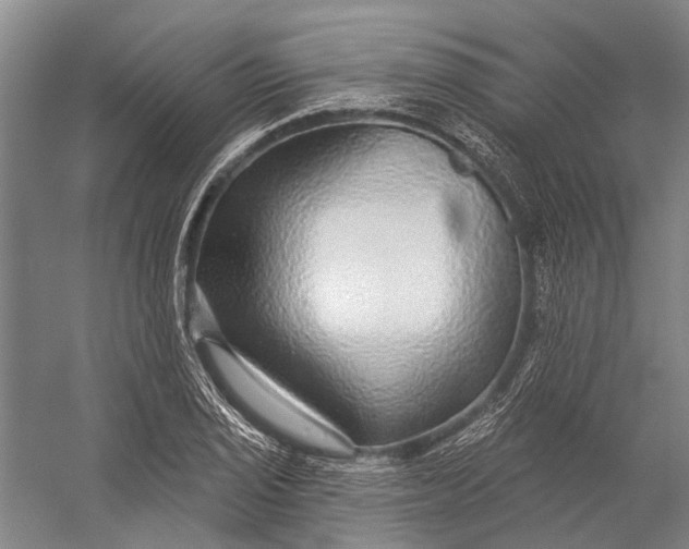 X0000056351029200509161756