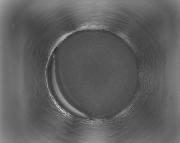 X0000056351030200509161756