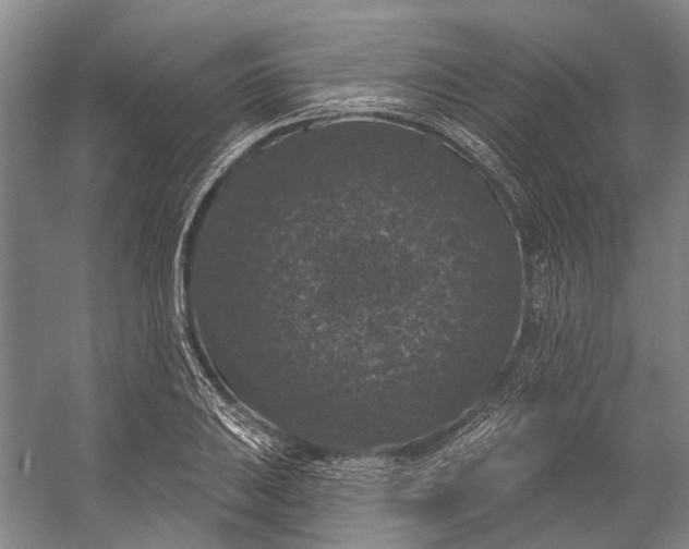 X0000056351031200509161756