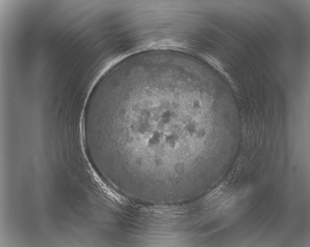 X0000056351032200509161756