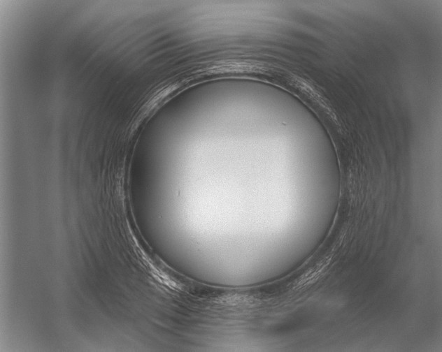 X0000056351033200509161756