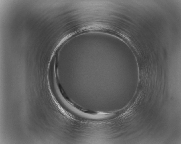 X0000056351034200509161756