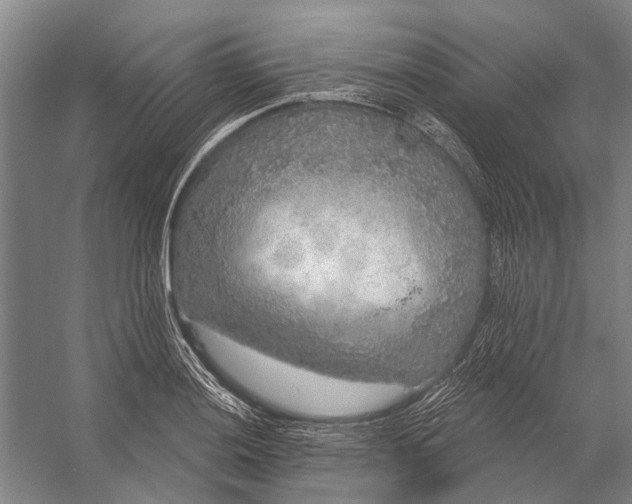 X0000056351036200509161756