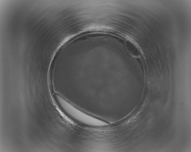 X0000056351037200509161756