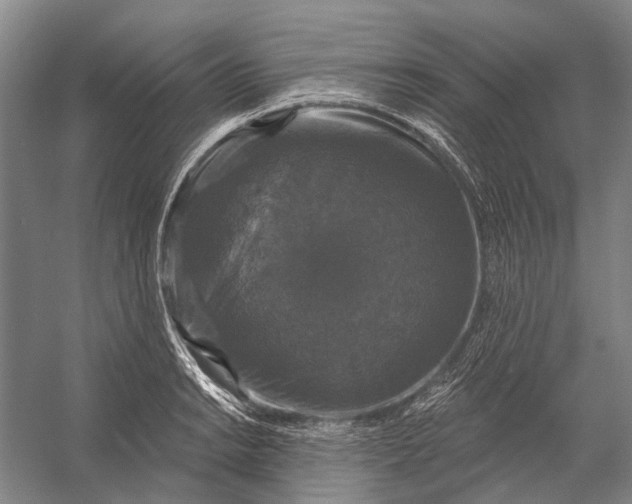 X0000056351038200509161756