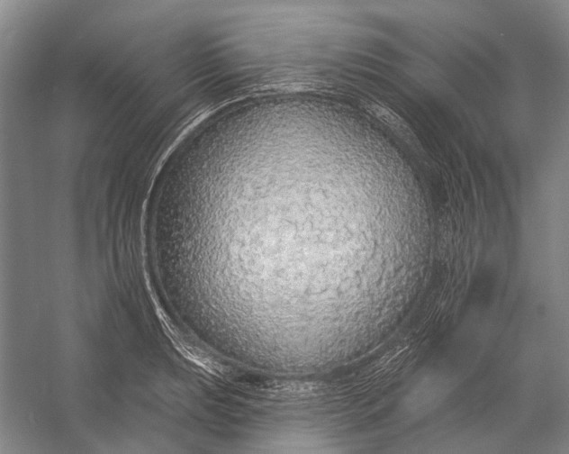 X0000056351039200509161756