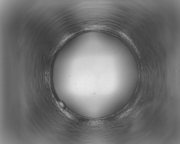 X0000056351041200509161756