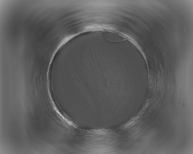 X0000056351045200509161757