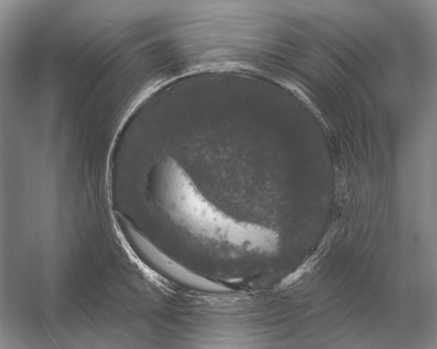 X0000056351046200509161757