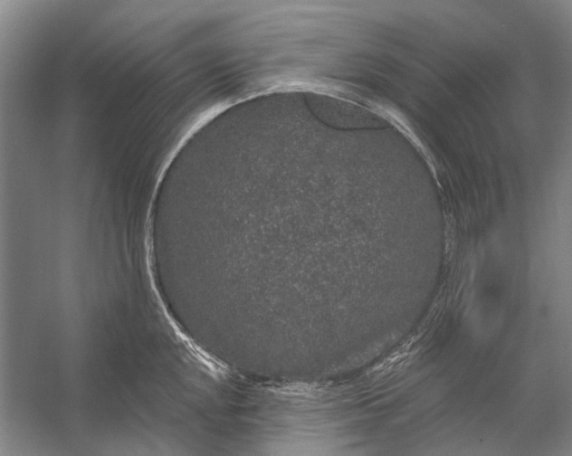 X0000056351048200509161757