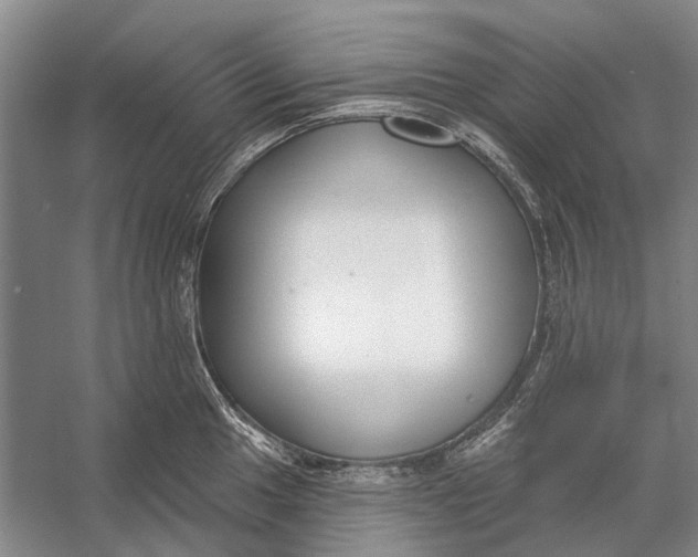 X0000056351049200509161757