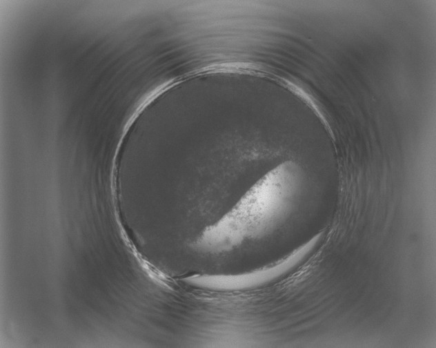 X0000056351050200509161757