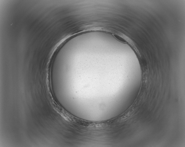 X0000056351051200509161757