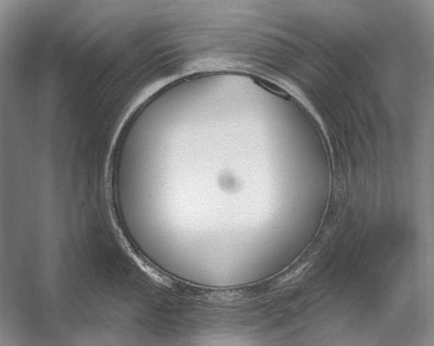 X0000056351053200509161757