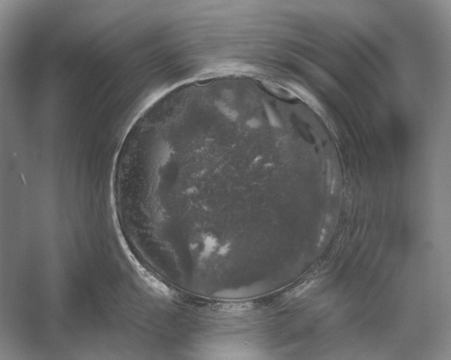 X0000056351055200509161757