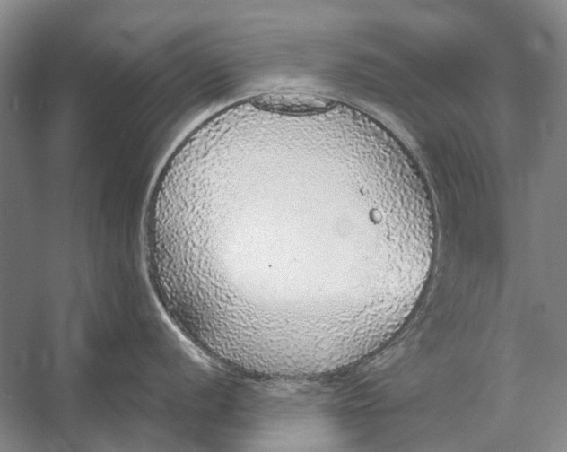 X0000056351056200509161757