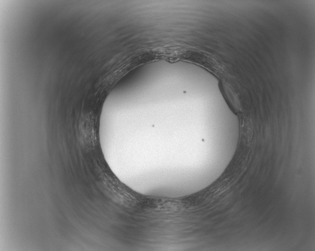 X0000056351058200509161756