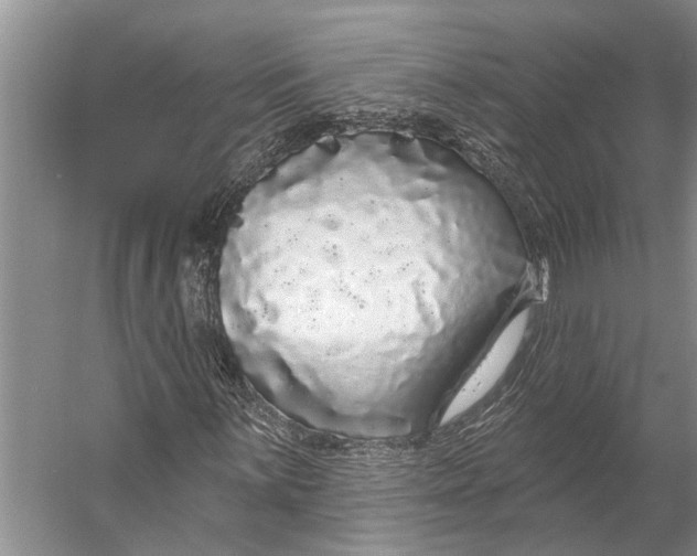 X0000056351059200509161756