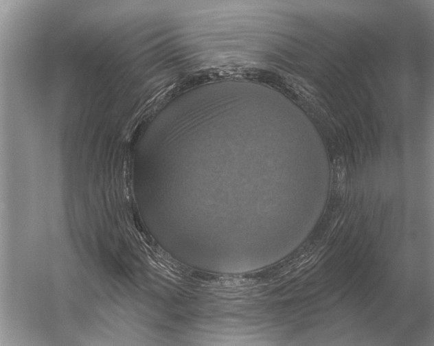 X0000056351060200509161756