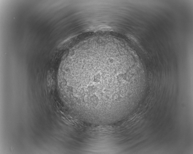 X0000056351063200509161756