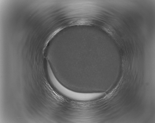 X0000056351066200509161756