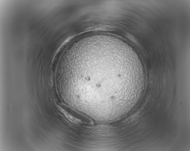 X0000056351067200509161756