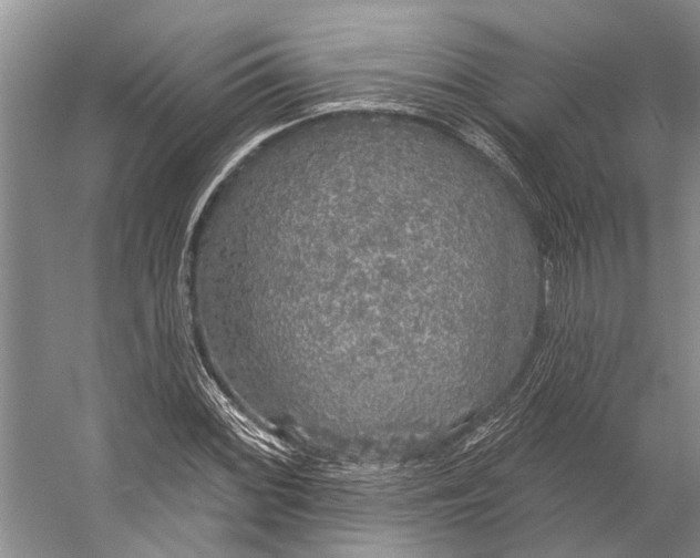 X0000056351068200509161756