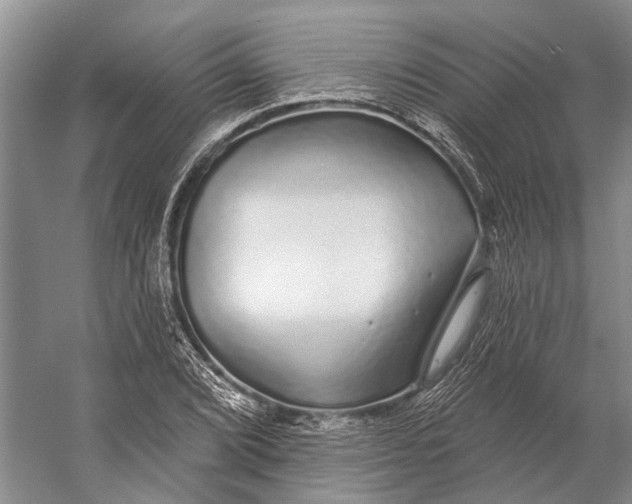 X0000056351072200509161756