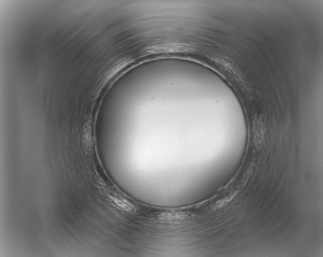 X0000056351073200509161756