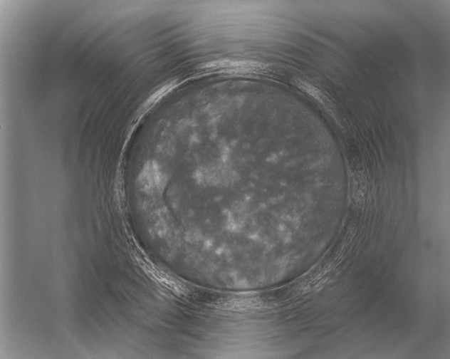 X0000056351074200509161756