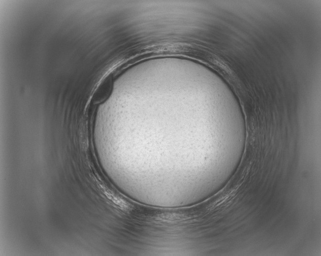 X0000056351075200509161756