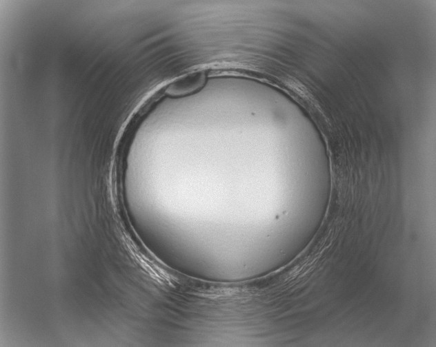 X0000056351076200509161756