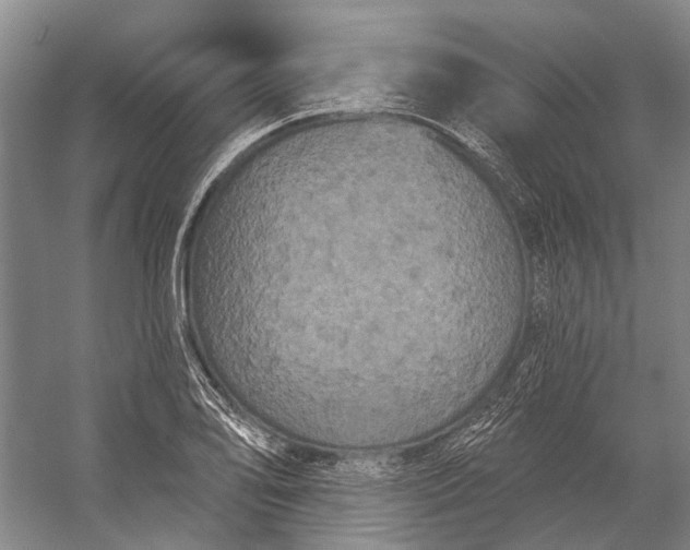 X0000056351078200509161756