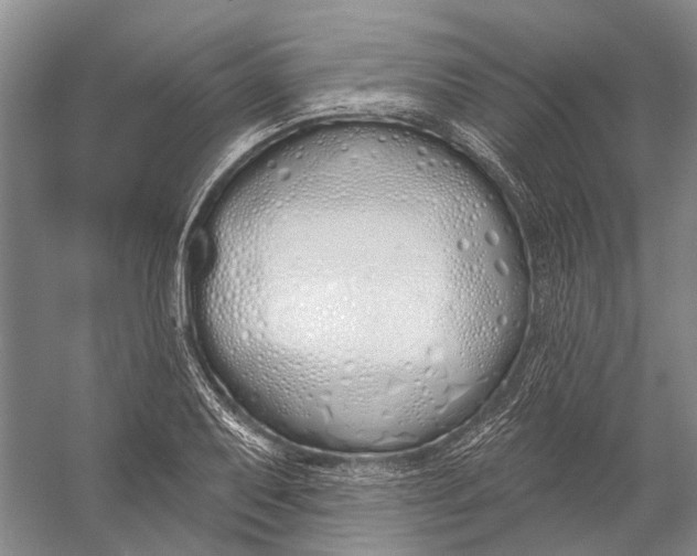 X0000056351079200509161756