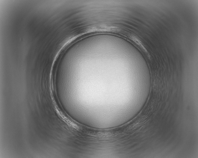 X0000056351080200509161756