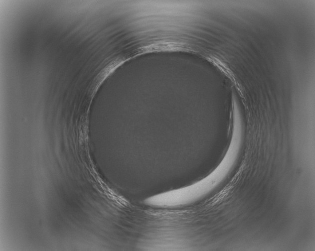 X0000056351081200509161756