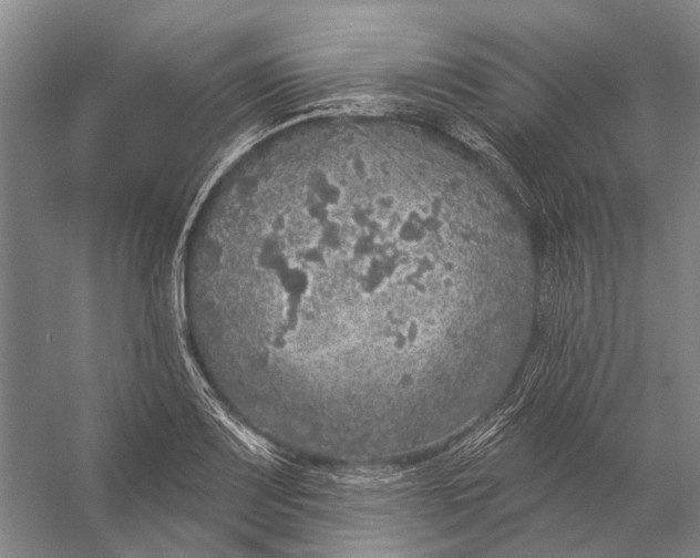 X0000056351083200509161755