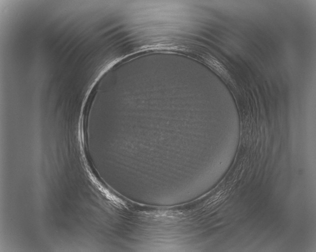 X0000056351084200509161755