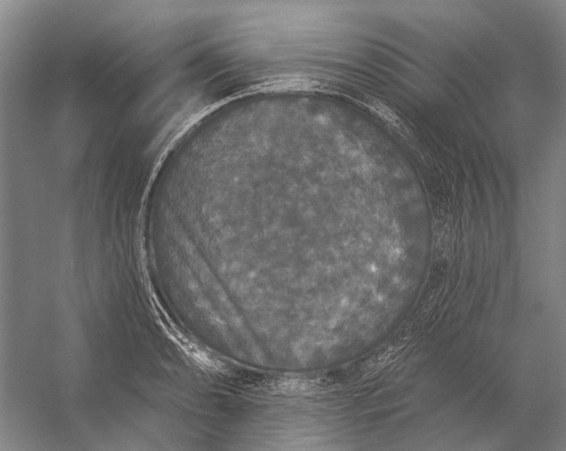 X0000056351086200509161755