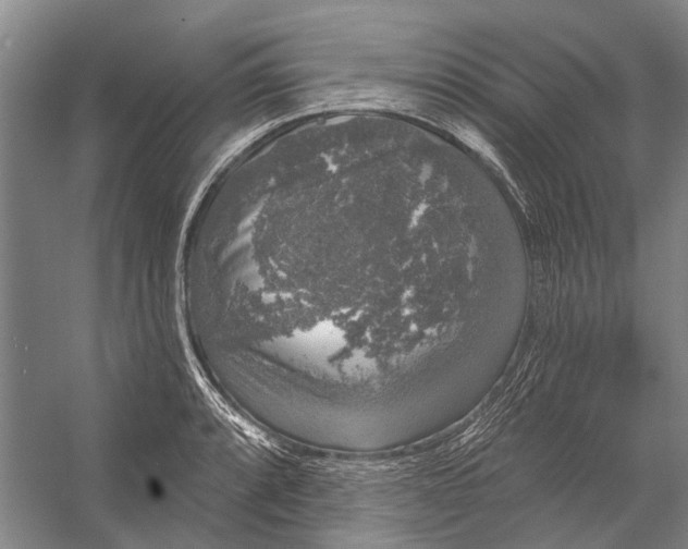 X0000056351088200509161755