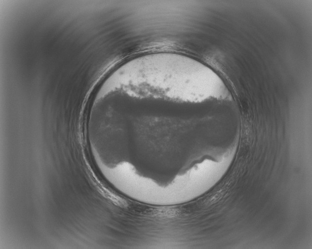 X0000056351090200509161755