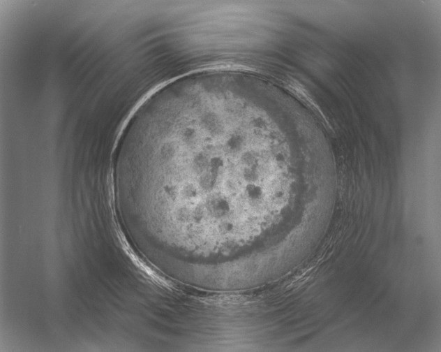 X0000056351092200509161755