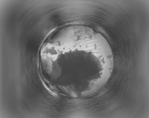 X0000056351095200509161755