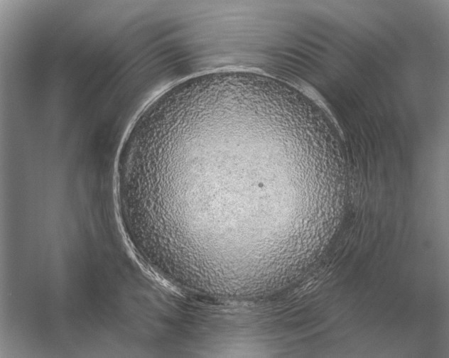 X0000056351096200509161755